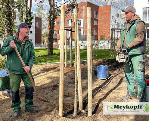 Meykopff GaLaBau | Mitarbeiter beim Anpflanzen mit Spaß