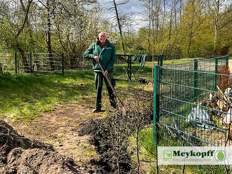 Meykopff GaLaBau | Mitarbeiter beim Anpflanzen