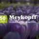 50 Jahre Meykopff