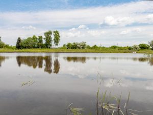 Meykopff Garten- und Landschaftsbau Drohnenflug Teich