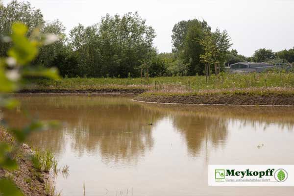 Meykopff Garten- und Landschaftsbau Drohnenflug Teich 2