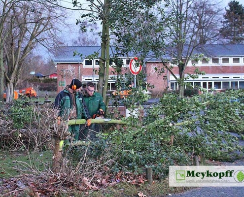 Meykopff GaLaBau Lübeck Baumfällarbeiten Buschwerk