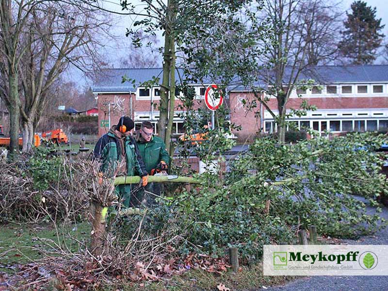 Meykopff GaLaBau Lübeck Baumfällarbeiten Buschwerk