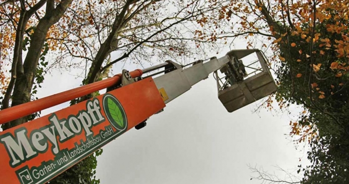 Meykopff GaLaBau Lübeck Baumschnitt Hubsteiger | Meykopff