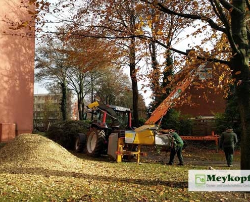 Meykopff Baumschnitt Baumpflege Lübeck Häcksler