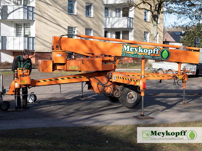 Meykopff GaLaBau | Baumschnitt & Baumpflege