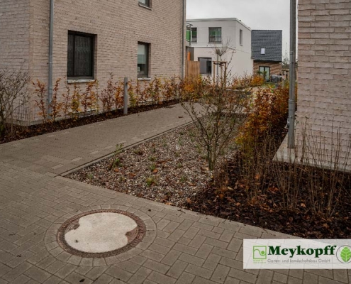 Meykopff GaLaBau Lübeck | Pflanzungen Rothebek Quittenweg