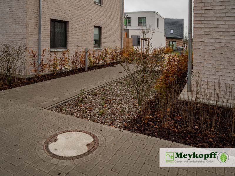 Meykopff GaLaBau Lübeck | Pflanzungen Rothebek Quittenweg