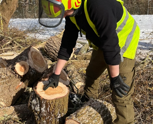 Meykopff GaLaBau Lübeck - Weide mit Pilz