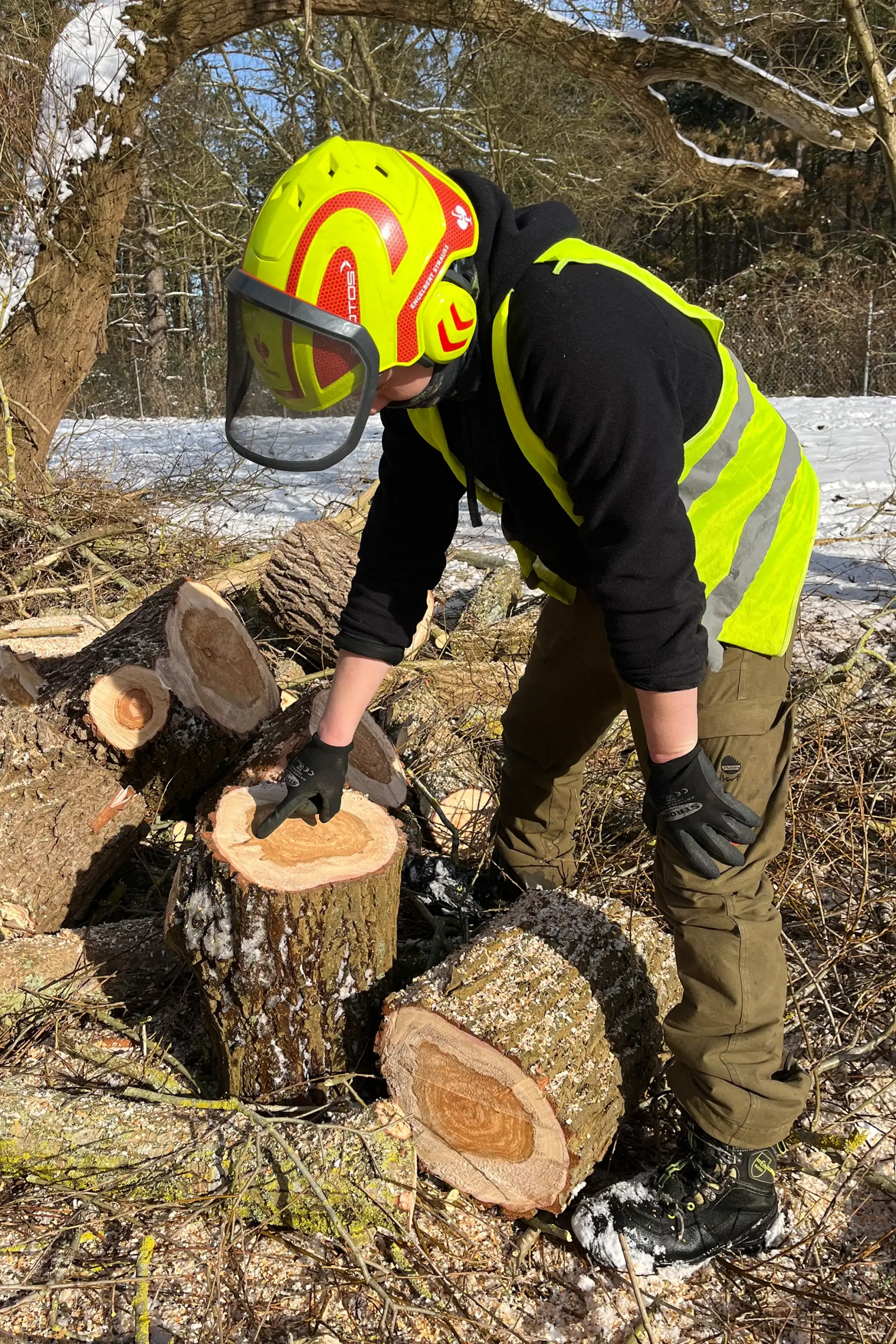 Meykopff GaLaBau Lübeck - Weide mit Pilz