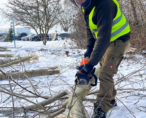 Meykopff GaLaBau Lübeck -fachgerechte Zerlegung der Abschnitte