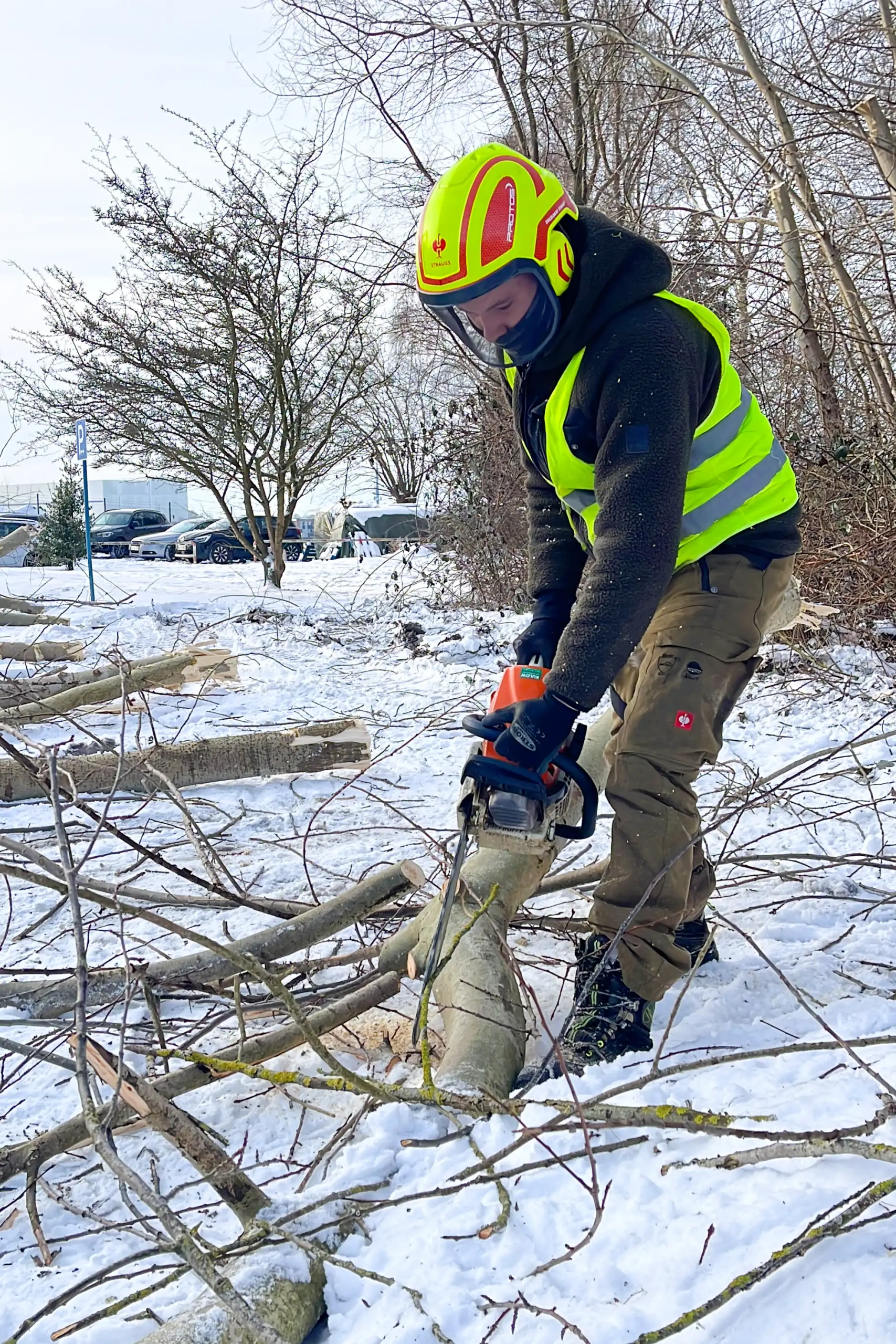 Meykopff GaLaBau Lübeck -fachgerechte Zerlegung der Abschnitte