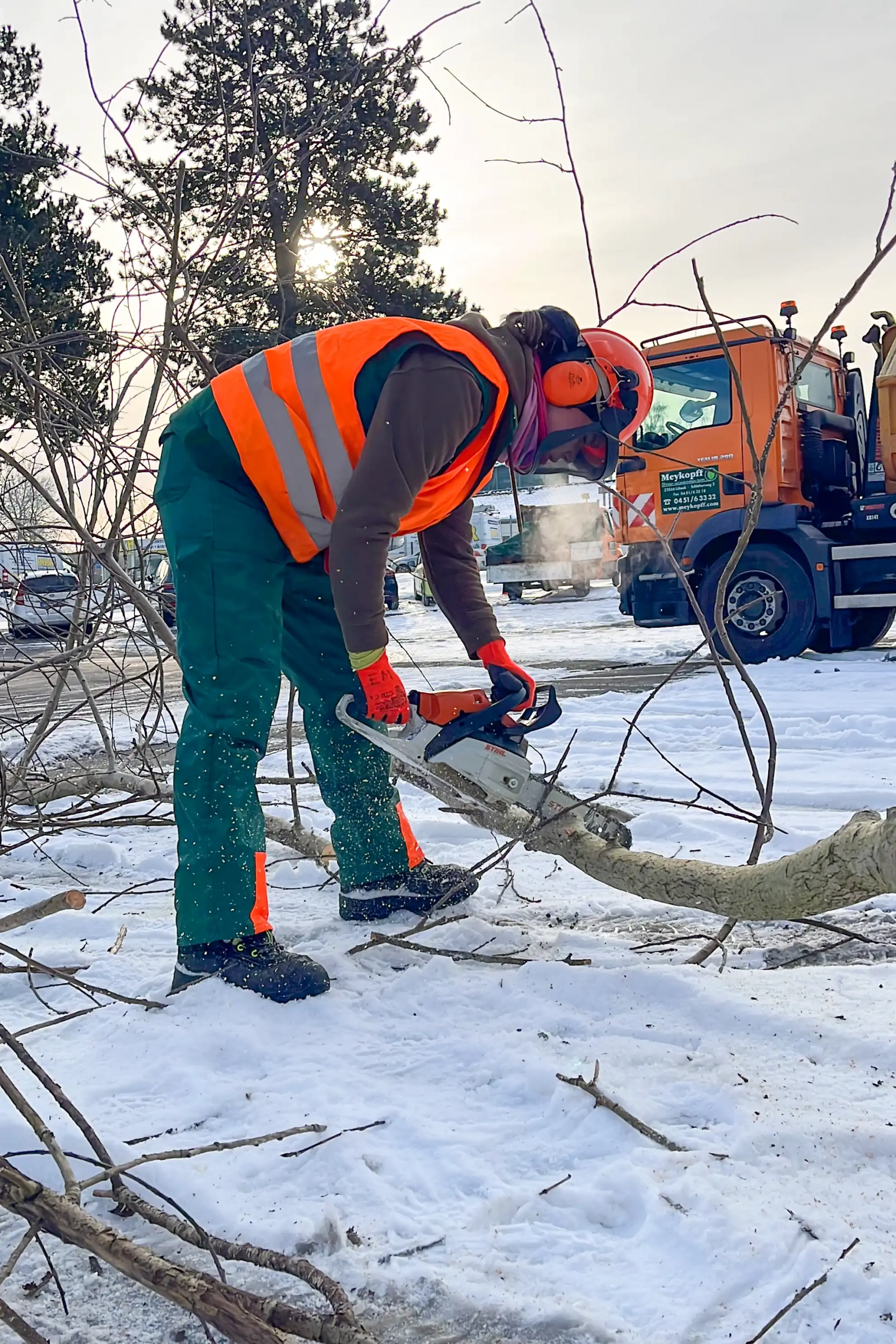 Meykopff GaLaBau Lübeck -fachgerechte Zerlegung der Abschnitte