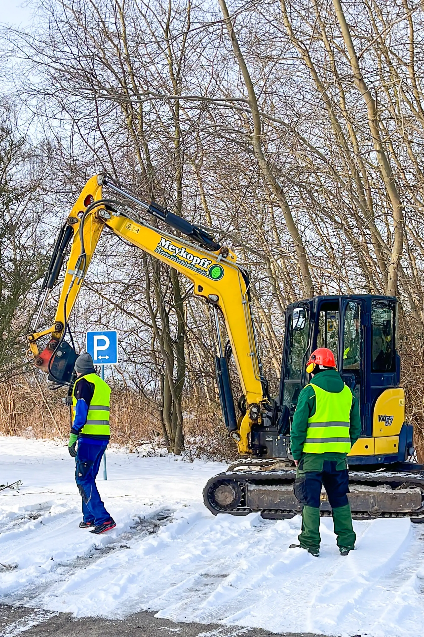 Meykopff GaLaBau Lübeck - Vorbereitung zur Rodung des Knicks