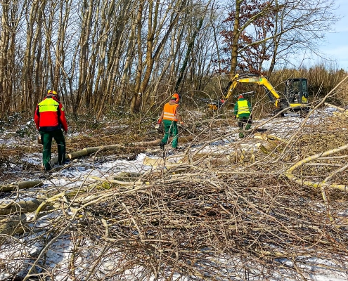Meykopff GaLaBau Lübeck - Knickpflege im Winter